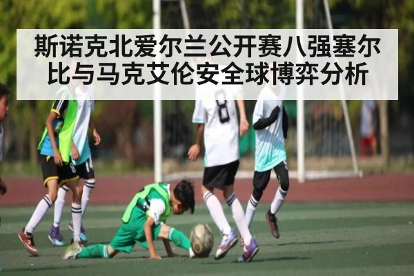 斯诺克北爱尔兰公开赛八强塞尔比与马克艾伦安全球博弈分析